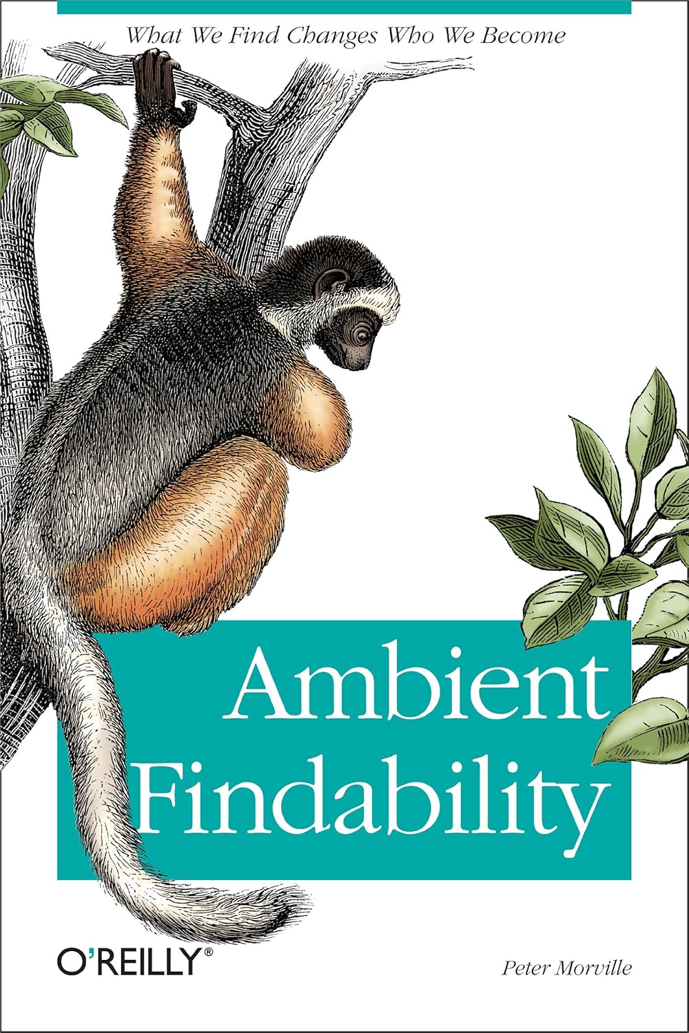 Ambient Findability: What We Find Changes Who We Become cover