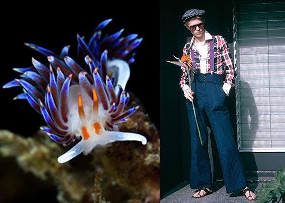 The ever-present orange accessory. Nudi photo by Belive...