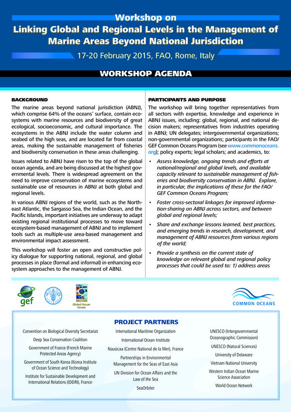 2015_workshop_linking_global_regional_levels_management_marine_areas_beyond_national_jurisdiction.jpeg