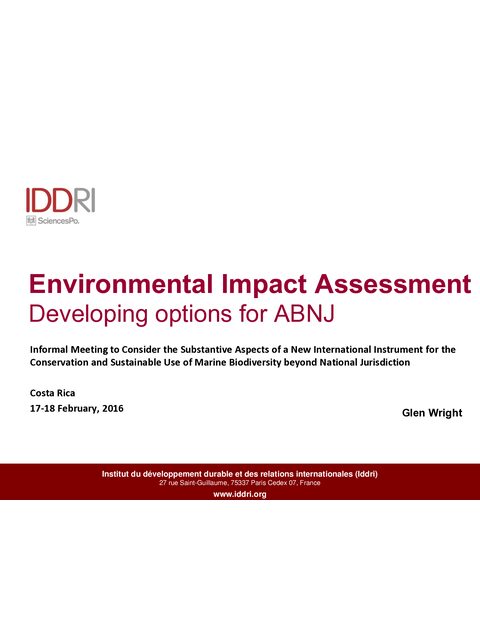 Cover image for Environmental Impact Assessment: Developing options for ABNJ