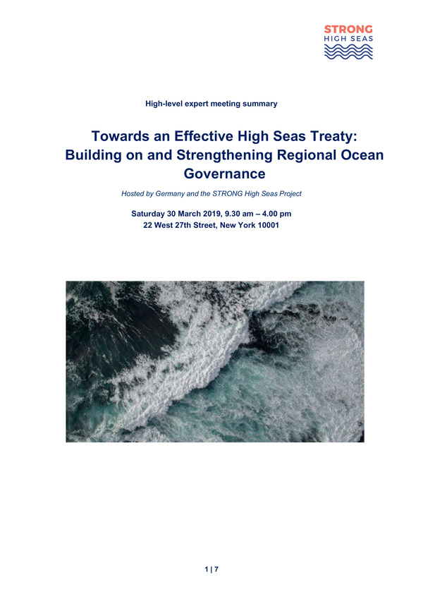 2019_high_level_expert_meeting_towards_effective_high_seas_treaty_building_strengthening_regional_ocean_governance.jpeg