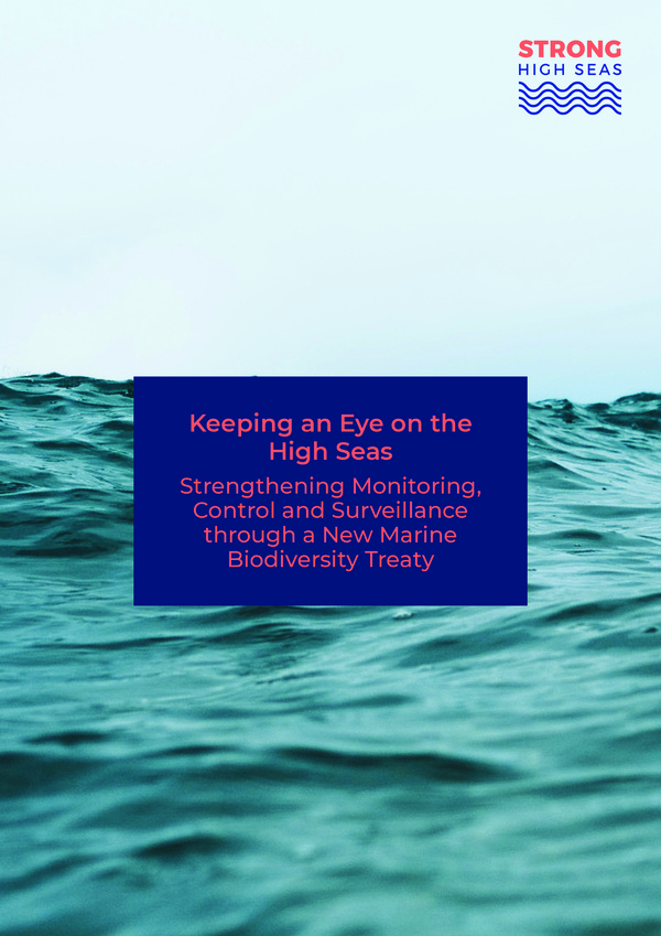 2019_keeping_eye_high_seas_strengthening_monitoring_control_surveillance_new_marine_biodiversity_treaty.jpeg