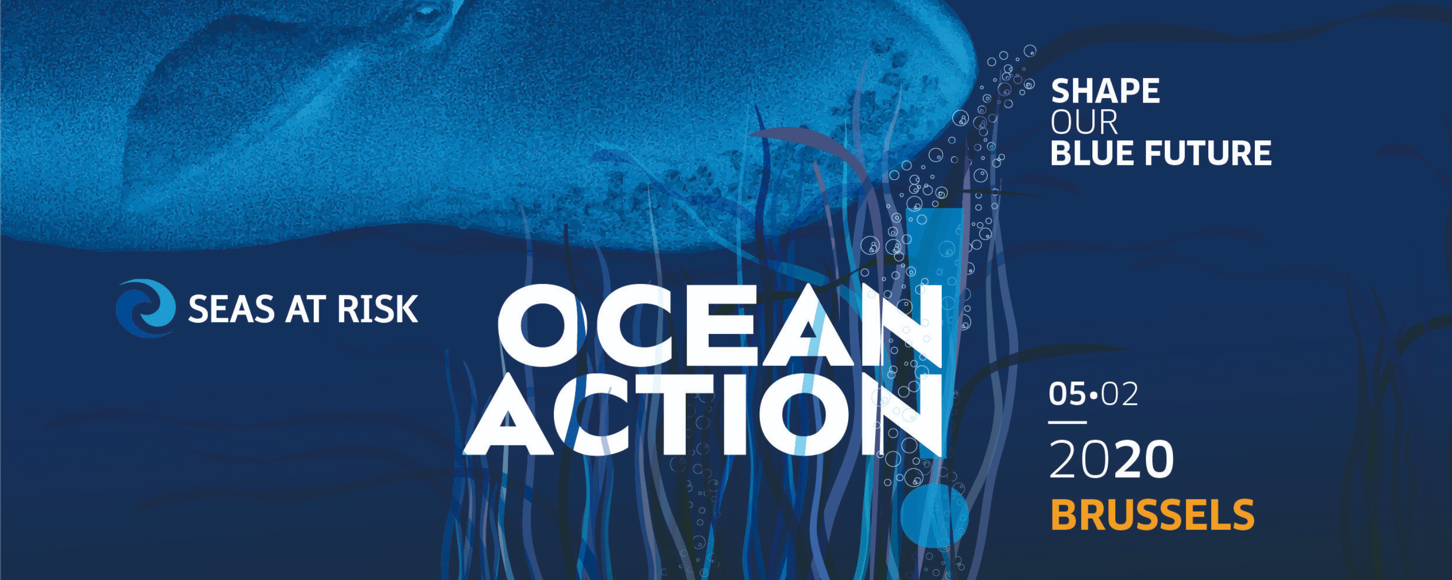 2020_ocean_action.jpeg
