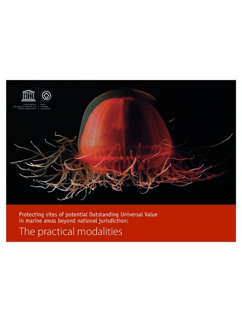 Cover image for Protecting sites of potential Outstanding Universa l Value in marine Areas Beyond National Jurisdiction: The practical modalities