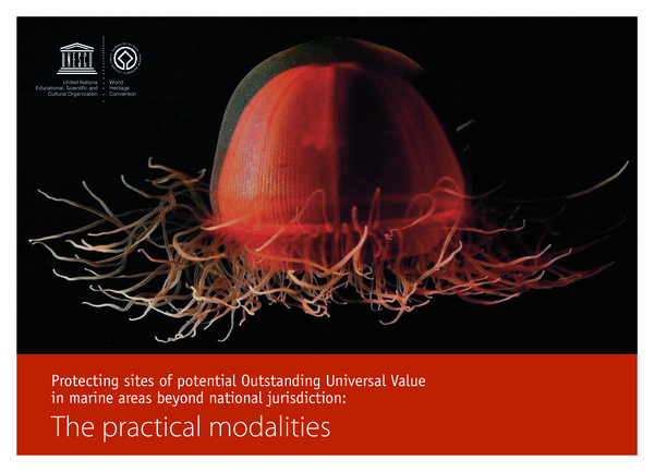 2020_protecting_sites_potential_outstanding_universal_value_marine_areas_beyond_national_jurisdiction_practical_modalities.jpeg