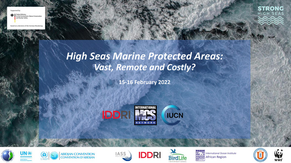 2022_high_seas_marine_protected_areas_vast_remote_costly.jpeg