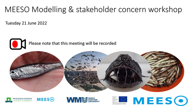 2022_meeso_modelling_stakeholder_concern_workshop.jpeg