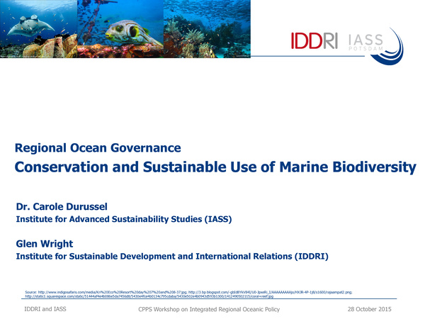 carole_durussel_2015_regional_ocean_governance_conservation.jpeg