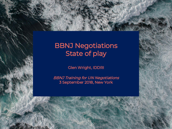 glen_wright_2018_bbnj_negotiations_state_play.jpeg