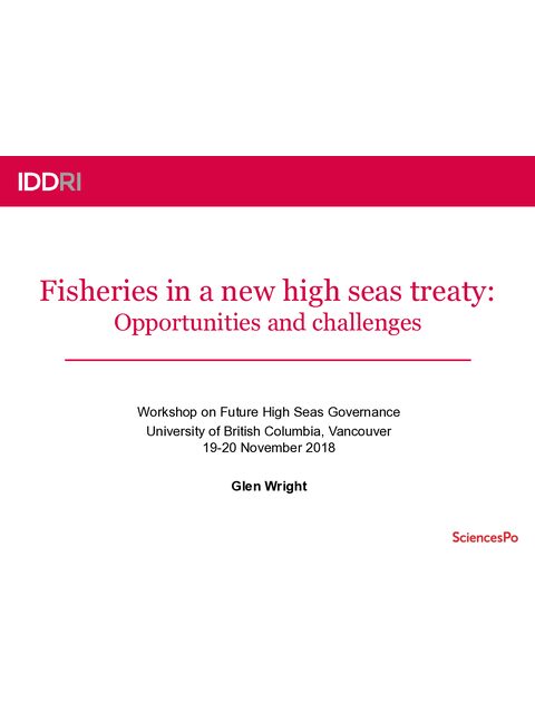 Cover image for Fisheries in a new high seas treaty: Opportunities and challenges