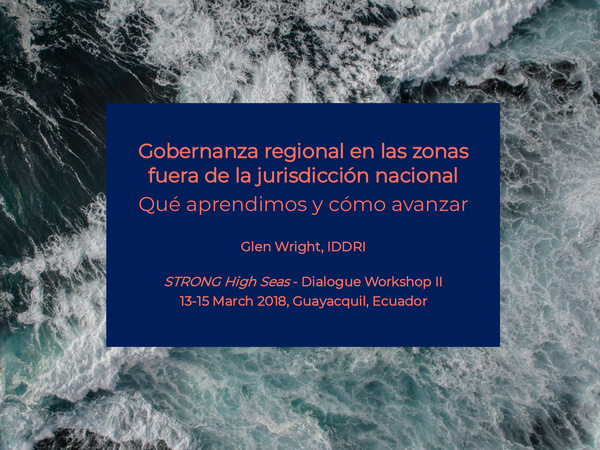 glen_wright_2018_gobernanza_regional_en_las_zonas_fuera_de_la_jurisdiccion_nacional_que_aprendimos_y_como_avanzar.jpeg