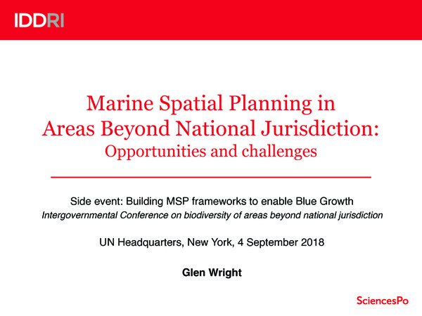 glen_wright_2018_marine_spatial_planning_areas_beyond_national_jurisdiction_opportunities_challenges.jpeg
