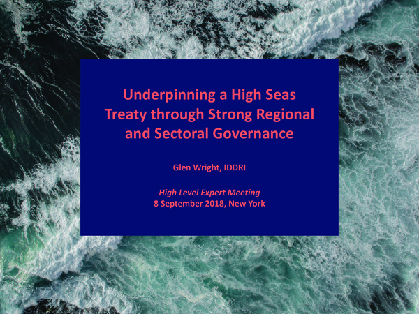 glen_wright_2018_underpinning_high_seas_treaty_strong_regional.jpeg