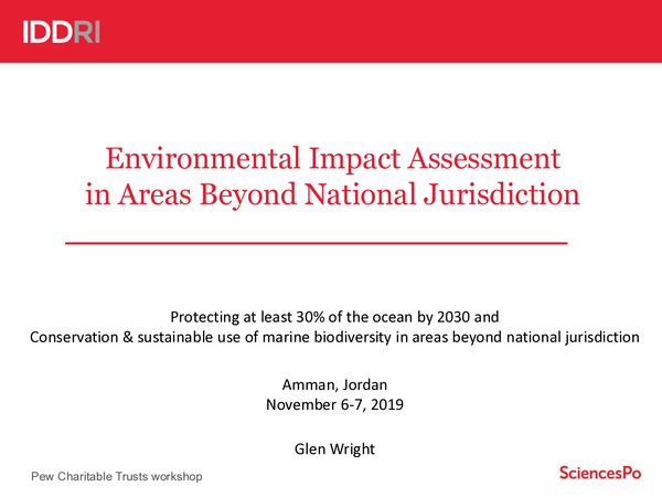 glen_wright_2019_environmental_impact_assessment_areas_beyond_national_jurisdiction.jpeg