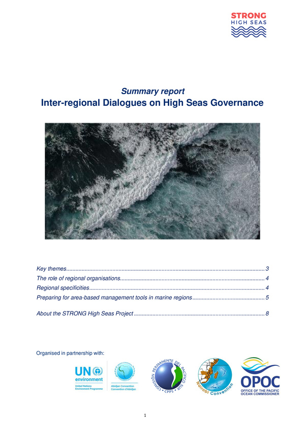 glen_wright_2022_summary_report_inter_regional_dialogues_high_seas.jpeg