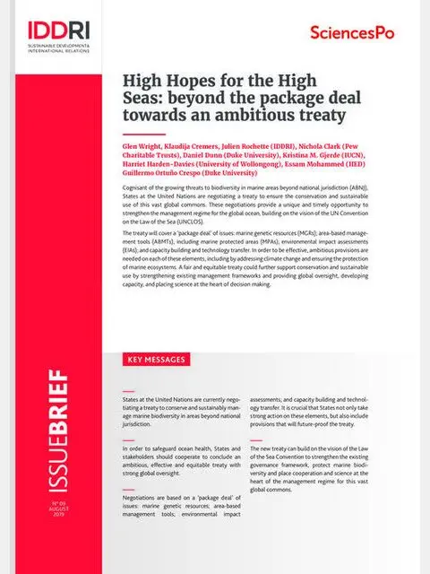 High Hopes for the High Seas: beyond the package deal towards an ambitious treaty