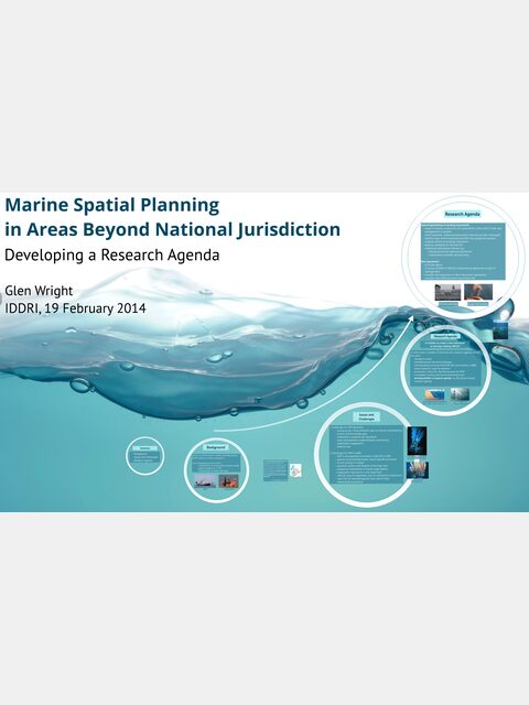 Cover image for Marine spatial planning in areas beyond national jurisdiction