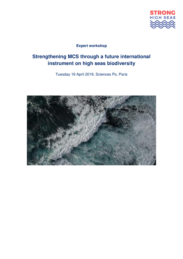 glen_wright_etal_2019_strengthening_monitoring_control_surveillance_mcs_international_instrument_high_seas_biodiversity.jpeg