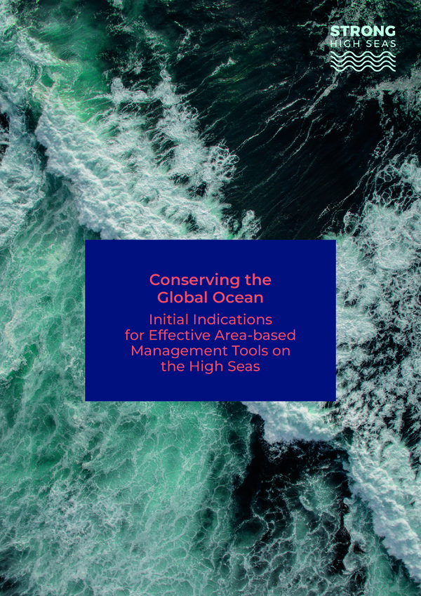 glen_wright_etal_2022_conserving_global_ocean_initial_indications_effective_area_based_management_tools_high_seas.jpeg