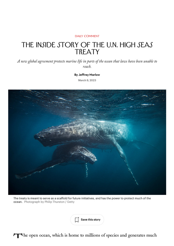 jeffrey_marlow_2023_inside_story_u_n_high_seas_treaty.jpeg