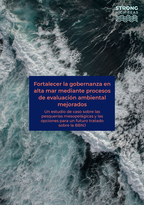 kristina_m._gjerde_2021_strengthening_high_seas_governance_enhanced.jpeg