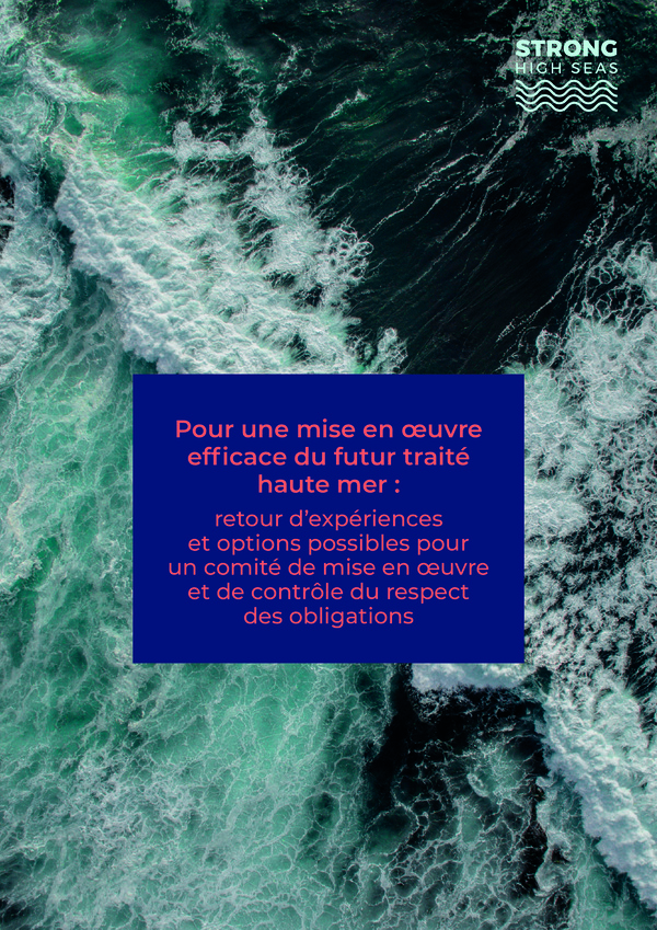 morgane_bouvet_2022_ensuring_effective_implementation_high_seas.jpeg