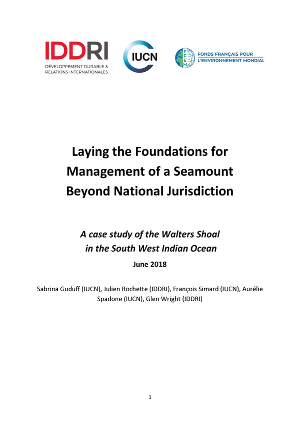 sabrina_guduff_2018_laying_foundations_management_seamount_beyond.jpeg