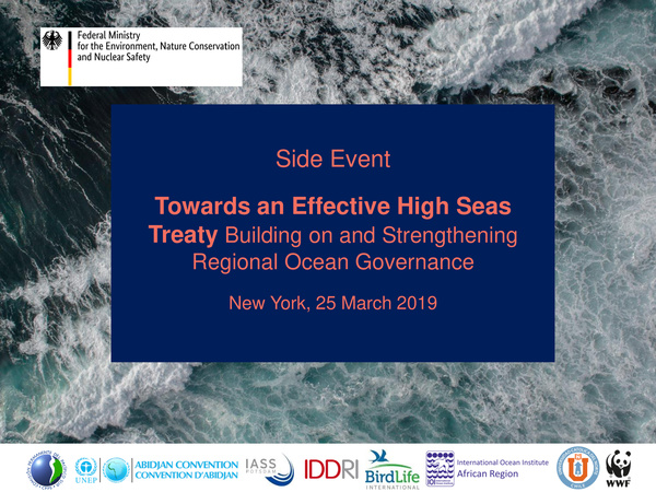 strong_seas_2019_side_event_towards_effective_high_seas_treaty.jpeg