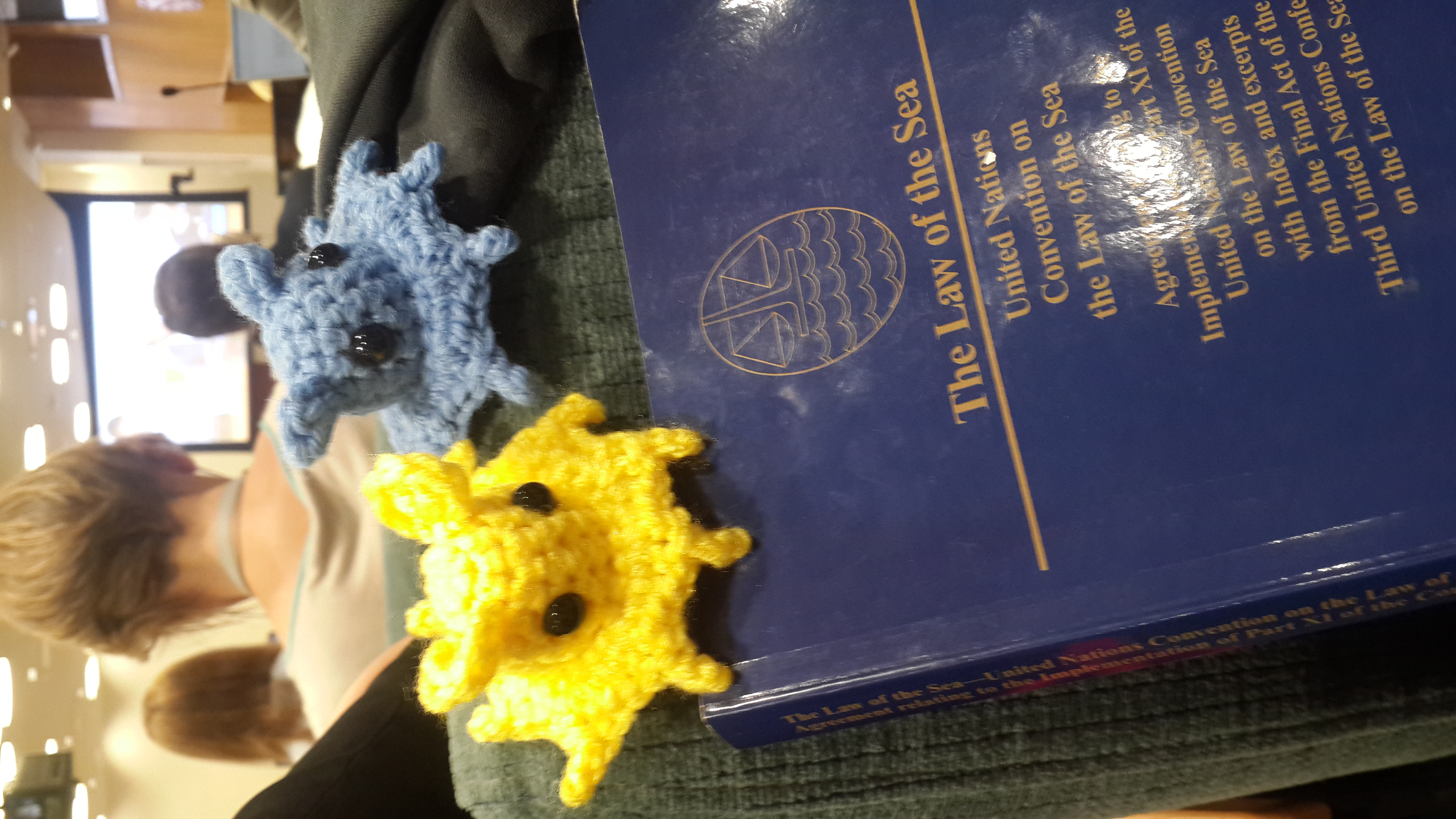 First session of the Intergovernmental conference on an international legally binding instrument under the United Nations Convention on the Law of the Sea on the conservation and sustainable use of marine biological diversity of areas beyond national jurisdiction image 2