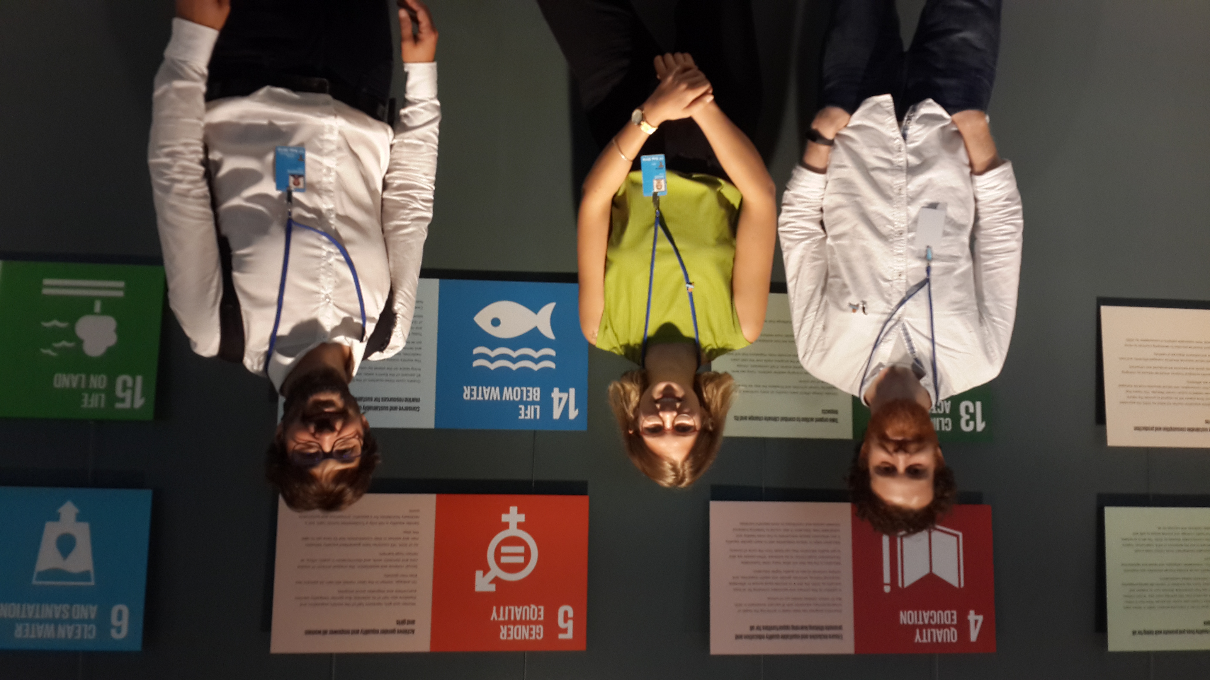 First session of the Intergovernmental conference on an international legally binding instrument under the United Nations Convention on the Law of the Sea on the conservation and sustainable use of marine biological diversity of areas beyond national jurisdiction image 3