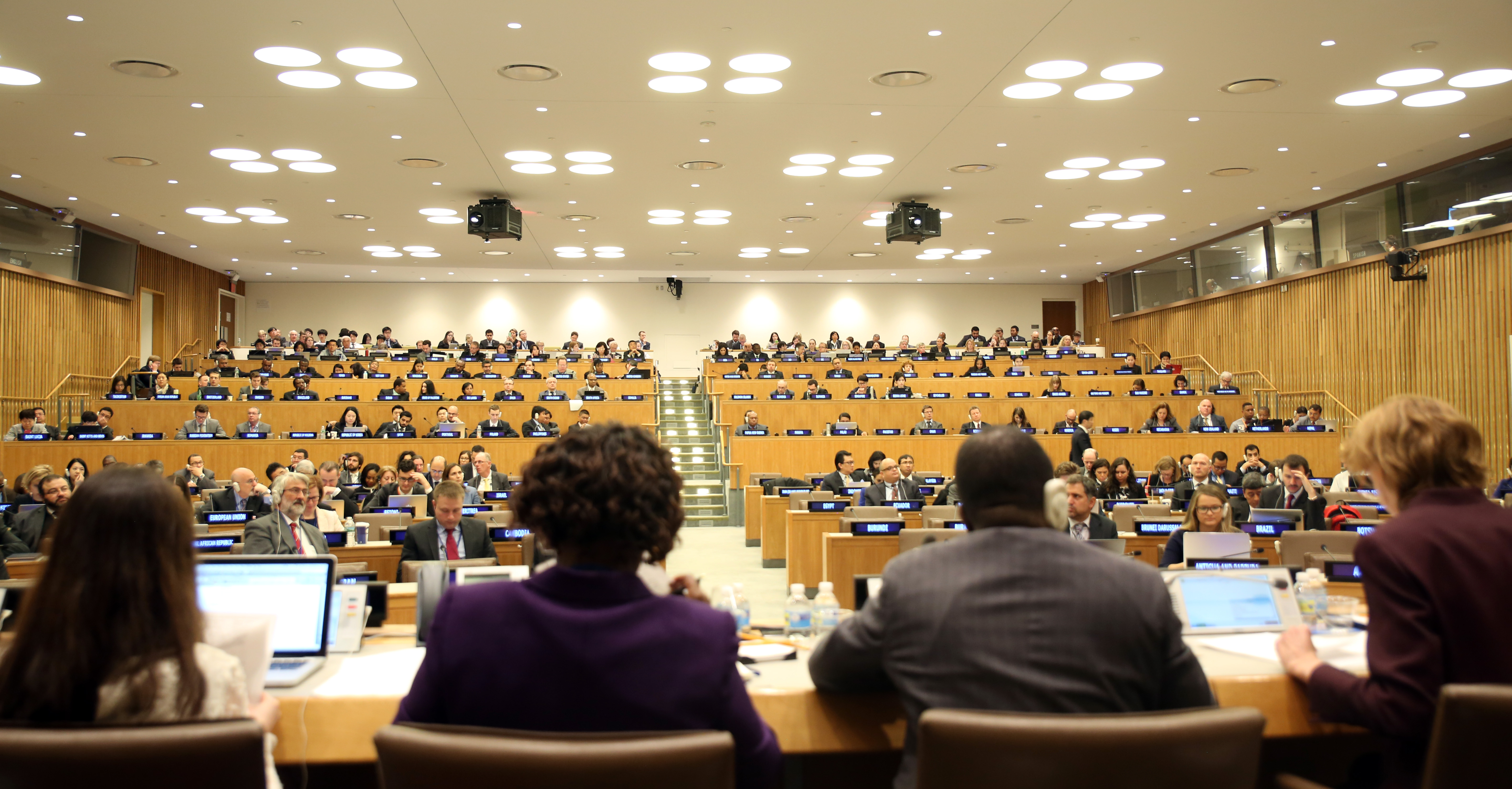First Session of the Preparatory Committee Established by the UN General Assembly Resolution 69/292 “Development of an International Legally Binding Instrument under the United Nations Convention on the Law of the Sea on the Conservation and Sustainable Use of Marine Biological Diversity of Areas Beyond National Jurisdiction” image 1