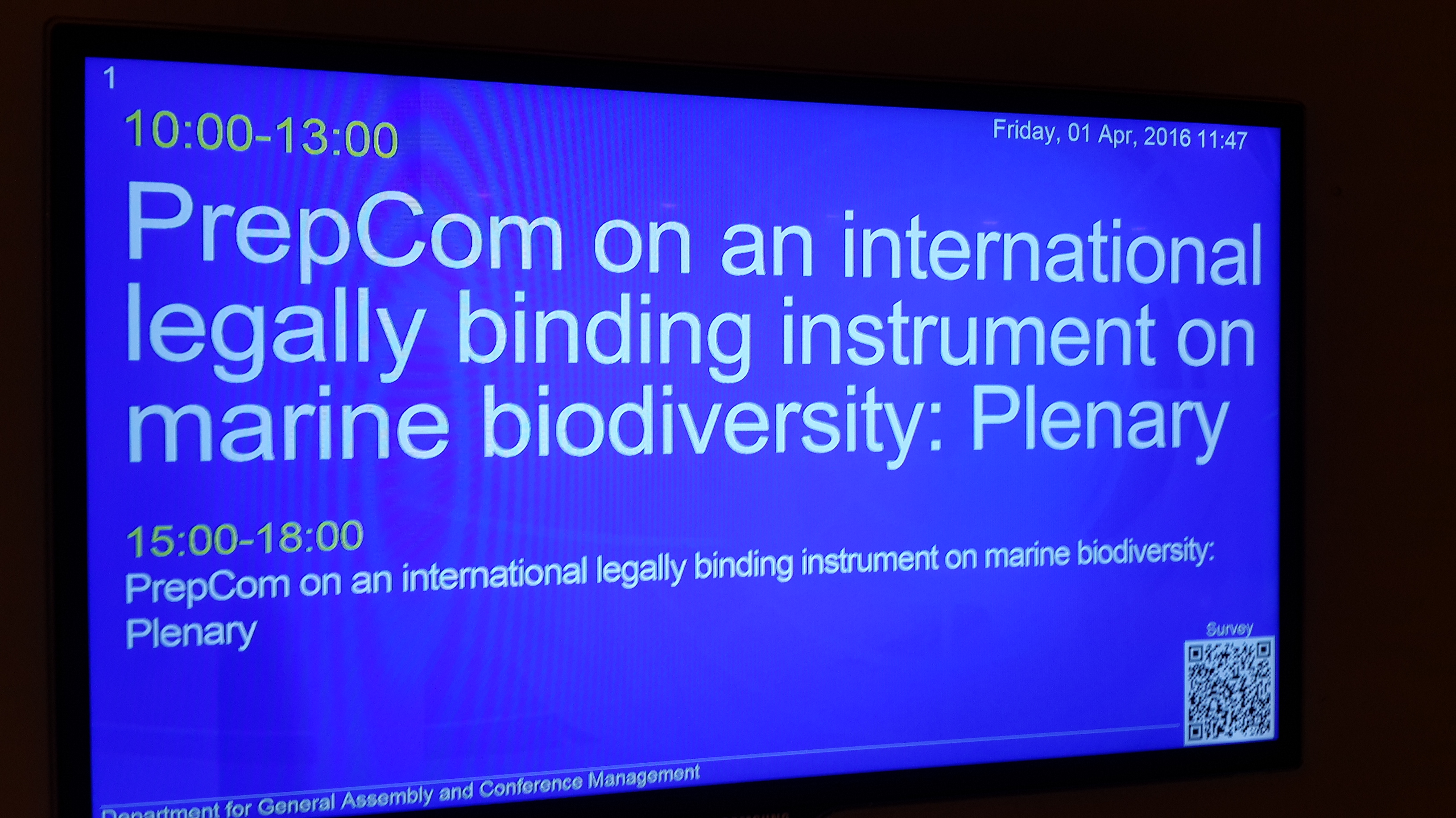 First Session of the Preparatory Committee Established by the UN General Assembly Resolution 69/292 “Development of an International Legally Binding Instrument under the United Nations Convention on the Law of the Sea on the Conservation and Sustainable Use of Marine Biological Diversity of Areas Beyond National Jurisdiction” image 4