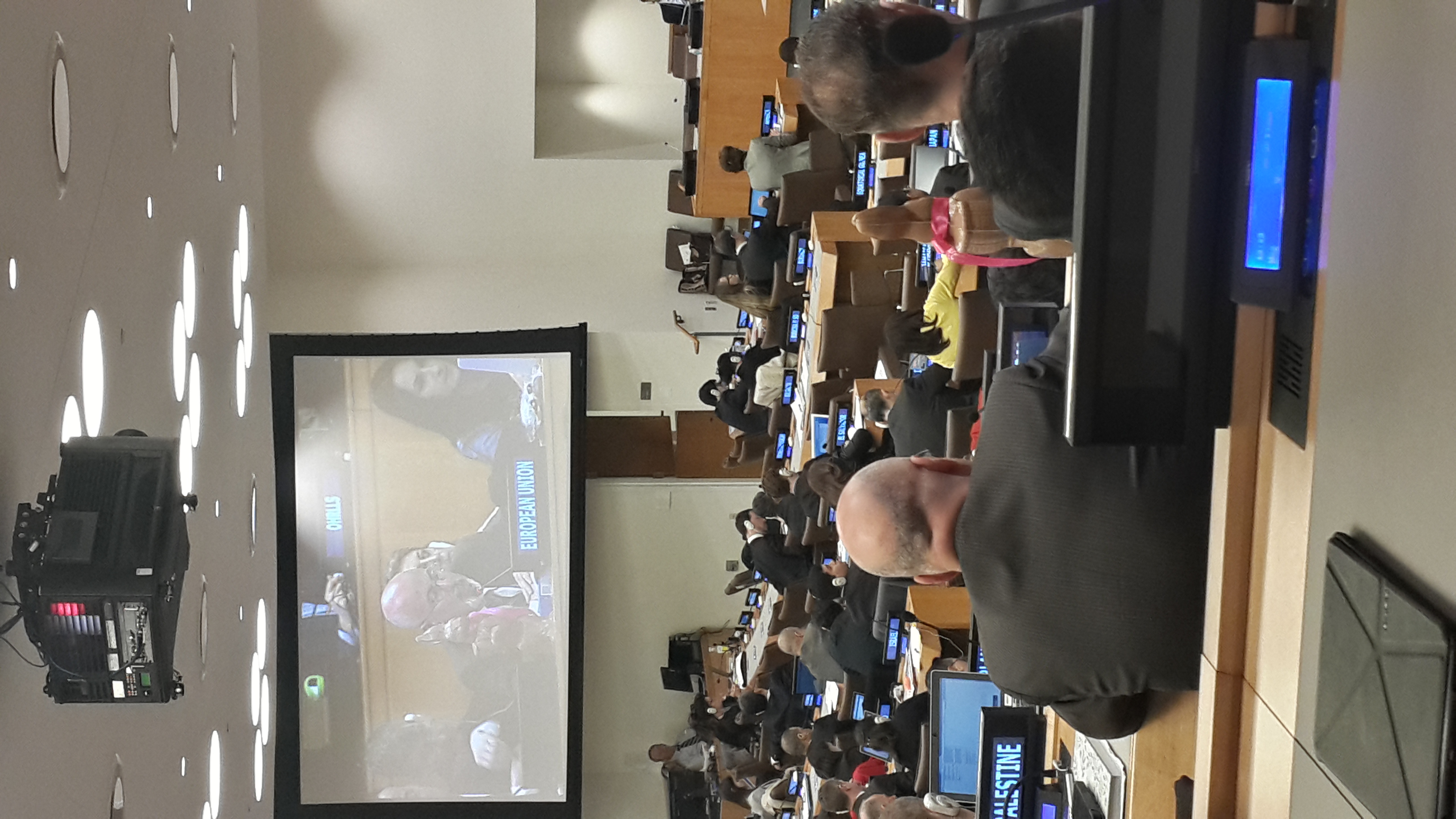 First Session of the Preparatory Committee Established by the UN General Assembly Resolution 69/292 “Development of an International Legally Binding Instrument under the United Nations Convention on the Law of the Sea on the Conservation and Sustainable Use of Marine Biological Diversity of Areas Beyond National Jurisdiction” image 9