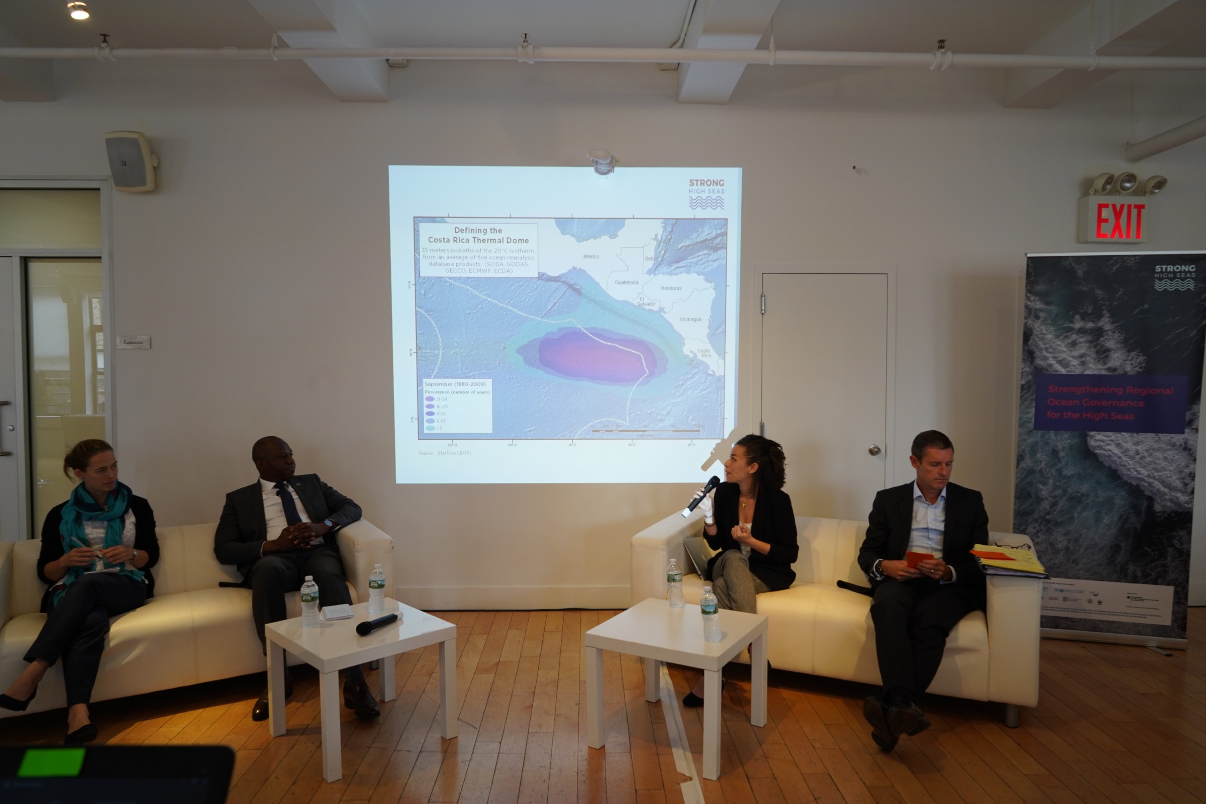 High-Level Expert Meeting: Building a Strong High Seas Treaty: What is the Role for Regional Ocean Governance? image 8