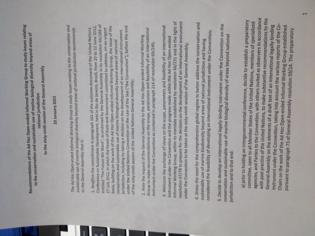 Ninth meeting of the Ad Hoc Open-ended Informal Working Group to study issues relating to the conservation and sustainable use of marine biological diversity beyond areas of national jurisdiction image 5