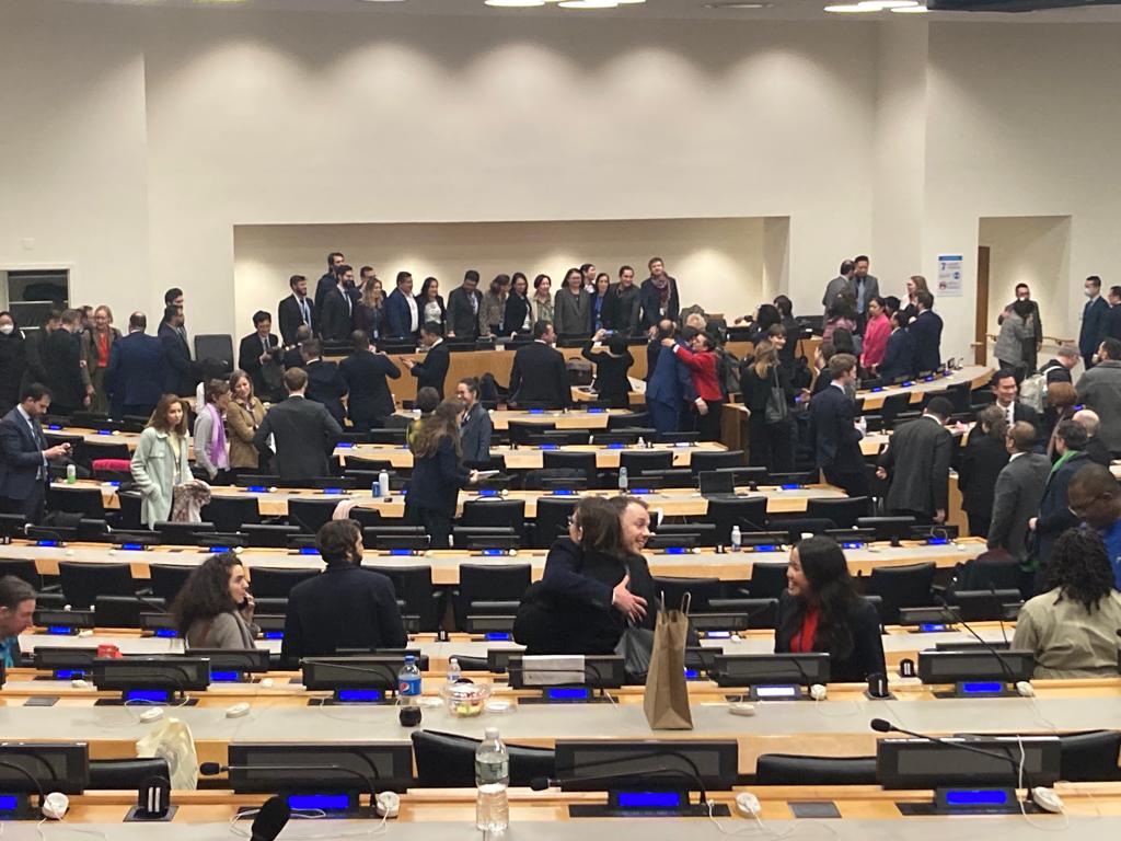 Further resumed fifth session of the Intergovernmental conference on an international legally binding instrument under the United Nations Convention on the Law of the Sea on the conservation and sustainable use of marine biological diversity of areas beyond national jurisdiction image 4