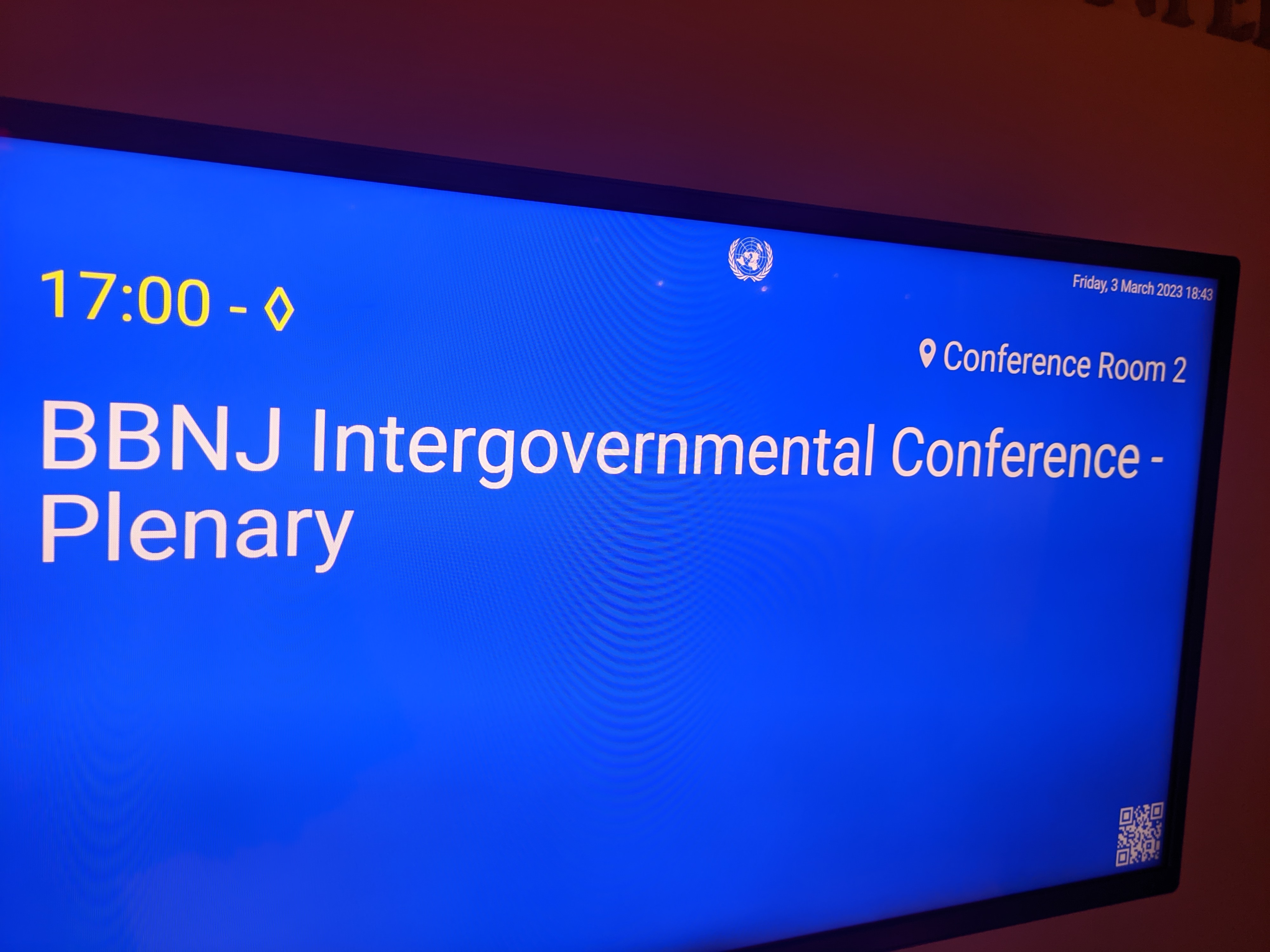 Further resumed fifth session of the Intergovernmental conference on an international legally binding instrument under the United Nations Convention on the Law of the Sea on the conservation and sustainable use of marine biological diversity of areas beyond national jurisdiction image 5