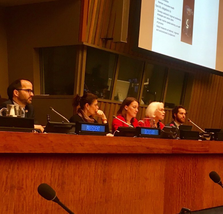 Towards an Effective High Seas Treaty - Building on and Strengthening Regional Ocean Governance image 1