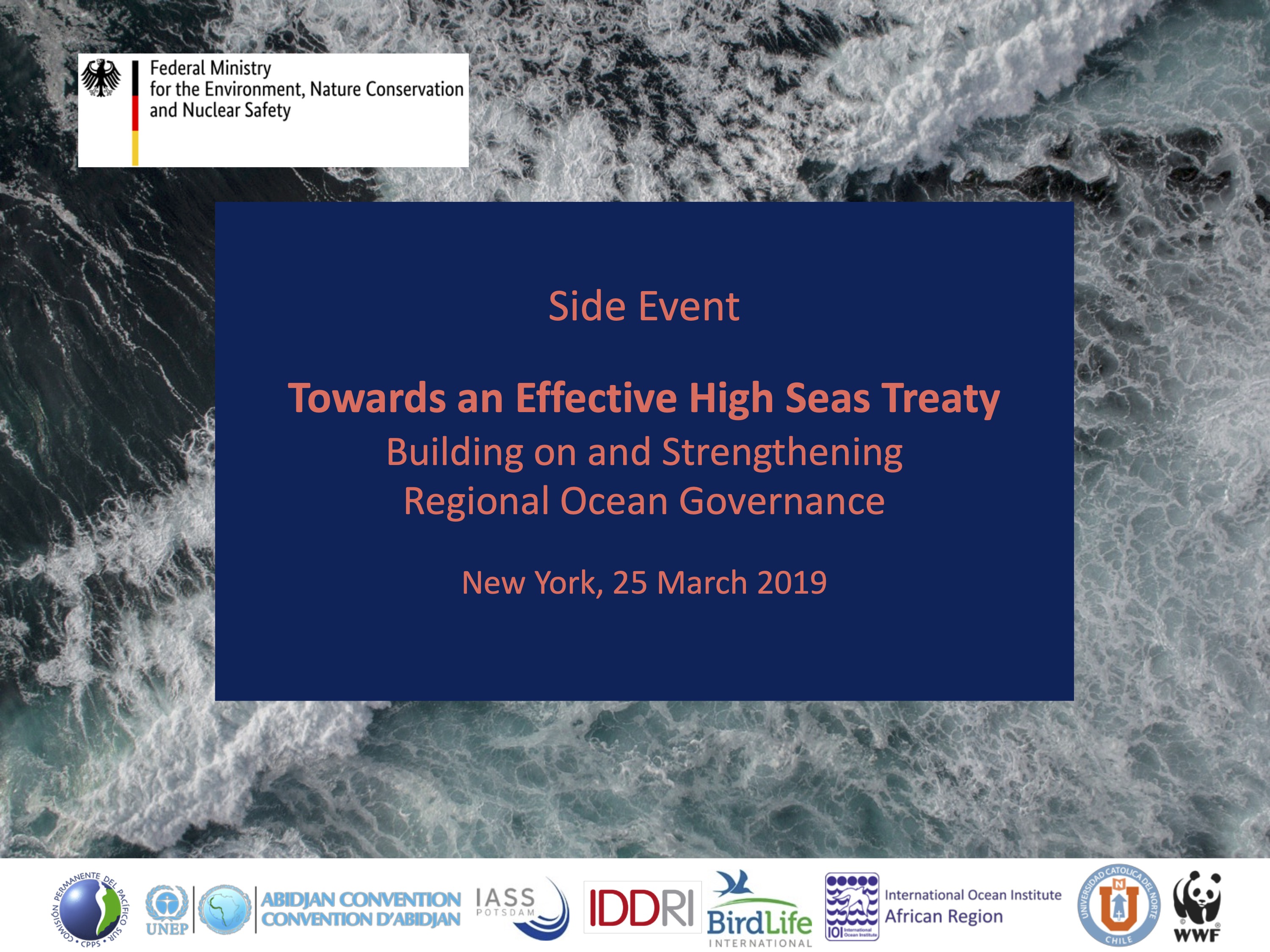 Towards an Effective High Seas Treaty - Building on and Strengthening Regional Ocean Governance image 2