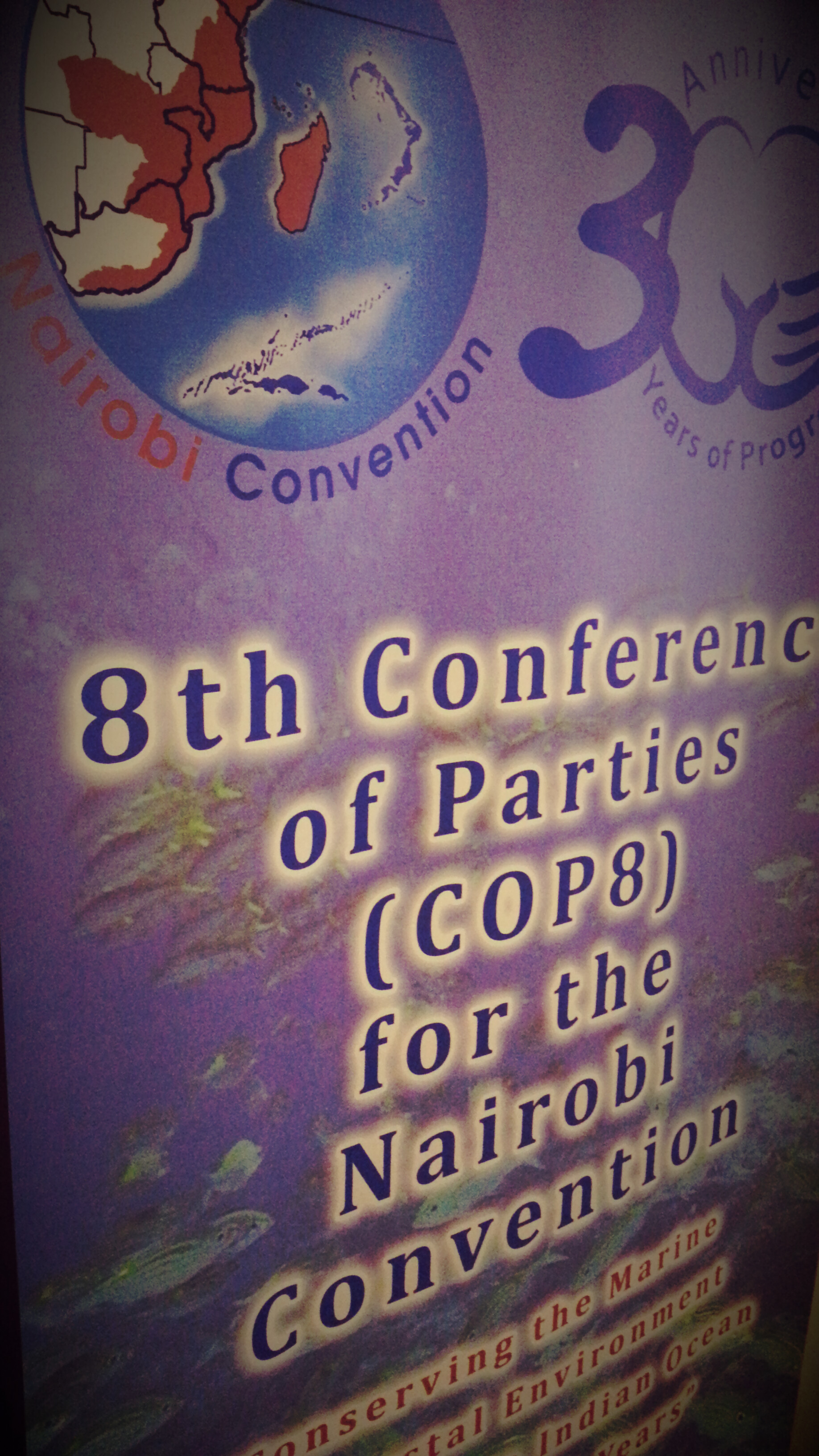 What role for the Nairobi Convention in the high seas? image 6